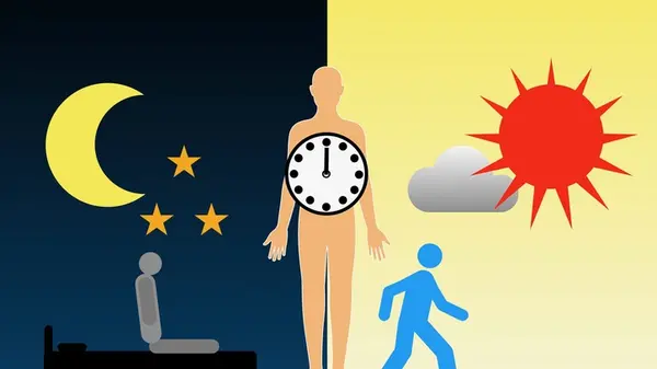 Why Cutting Carbs Isn’t Enough: The Critical Link Between Circadian Stability and Glycemic Success