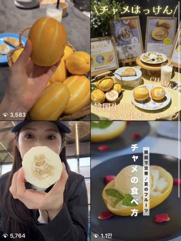 The Sweet Rise of the Korean Melon: Debunking the Myth Behind Its Seeds