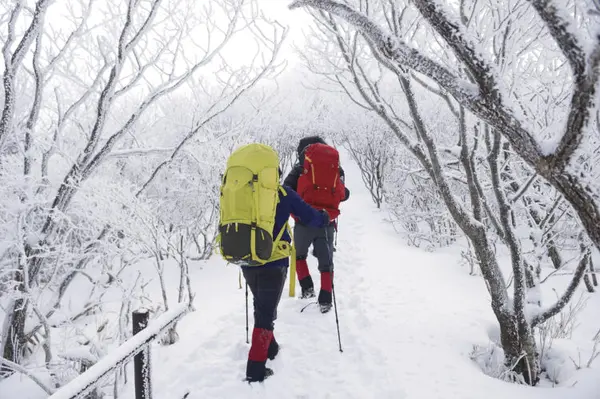 「寒くてもあきらめない」…冬の登山、‘これ’を必ず持っていくべき理由