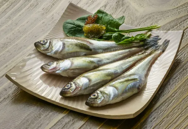 “Tidak terpengaruh oleh cuaca dingin”… Makanan bergizi yang mengalahkan dingin, makanan musiman yang semakin lezat saat cuaca dingin?