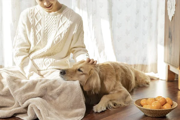 “¿Te pica por el pelo del perro?”… ¿La verdadera causa de la ‘alergia’ es la caspa de la piel?