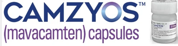 BMSの希少心臓病薬『カムジオス』、青少年への処方の道が開かれるか