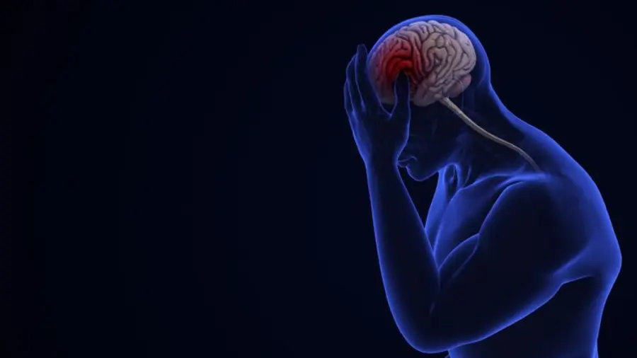 New research has confirmed the specific pathway through which the liver enzyme GPLD1 increases after exercise to protect the surface of brain blood vessels. Photo=Getty Images Bank