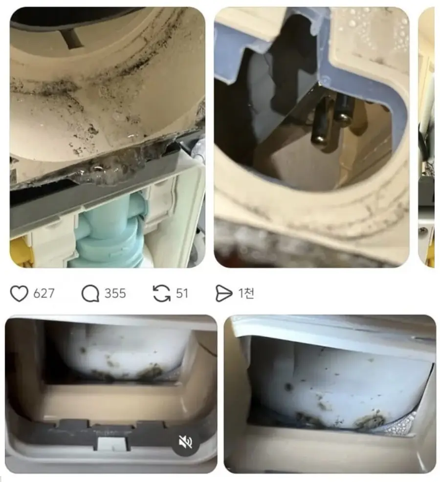Mold inside a water purifier, recently shared on social media platforms including X. Photo: Online community